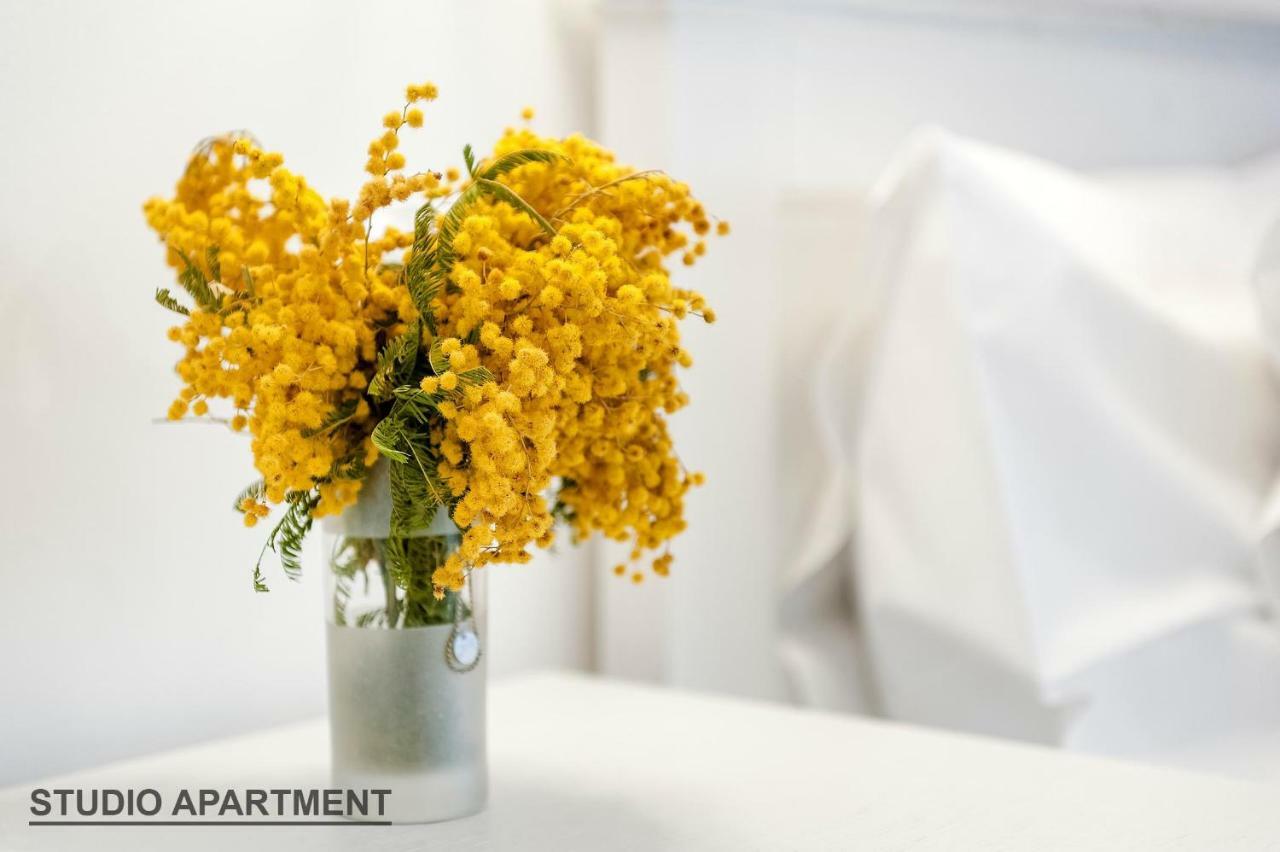Apartments Rialto Gallery Šibenik Екстериор снимка